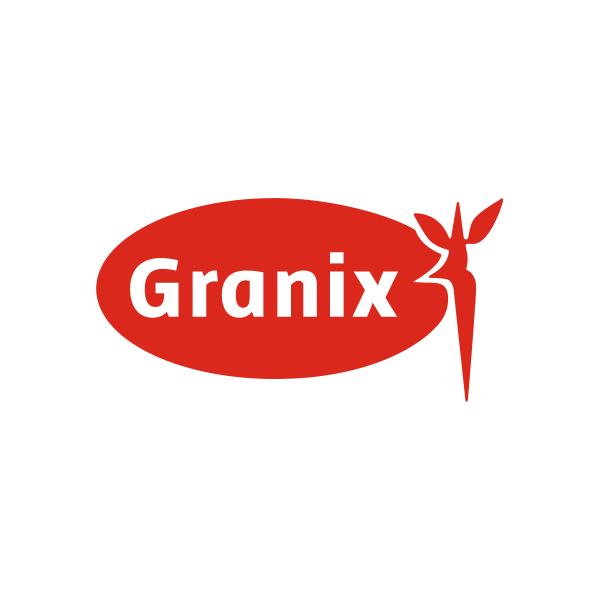 Logo GRANIX